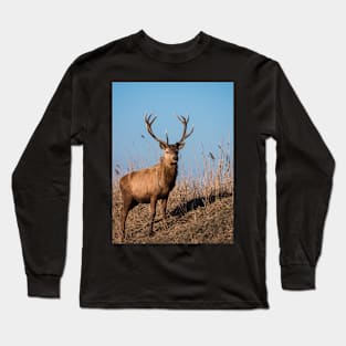 Red deer stag stares at the camera Long Sleeve T-Shirt